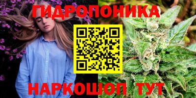 стаф Среднеуральск