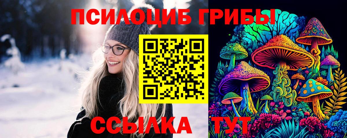 дарнет шоп  Вход с VPN  Галлюциногенные грибы Psilocybe  Лыткарино  Псилоцибиновые грибы мухоморы 